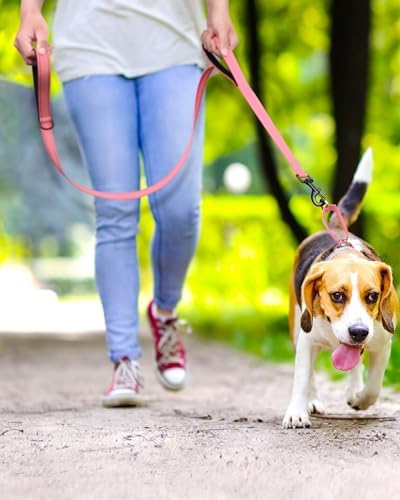FunTags Martingale Dog Collar and Leash Set for Puppy Dogs, Locking Buckle - Image 2