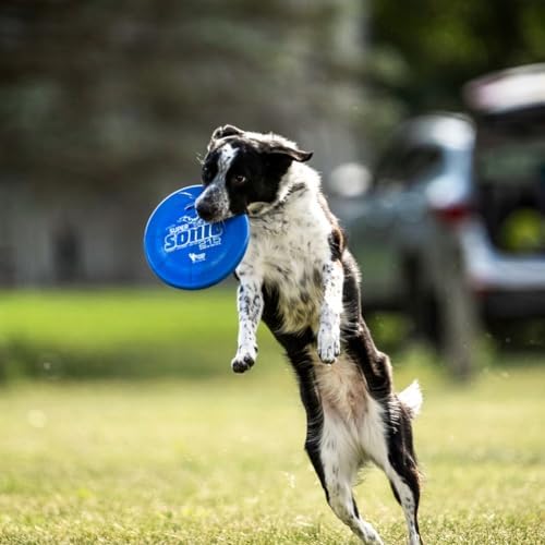 Hero Disc Super Sonic (Taffy) 215mm Dog Disc Orange - Image 3