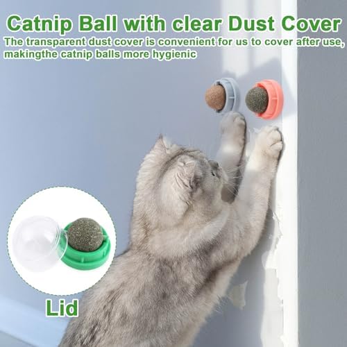 CCINEE 6PCS Catnip Balls for Cats Wall Catnip Toys Edible Cat Toys for Cat Lick Safe Healthy Kitten Chew Toys Teeth Cleaning Dental Cat Toys - Image 7