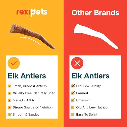 100% Natural - Elk Antlers for Dogs - Naturally Shed in USA - Dog Antler Chews for Medium Breeds - Natural, Long-Lasting Treats for Aggressive Chewers - Dog Chews - No Smell & No Mess - Medium - Image 7
