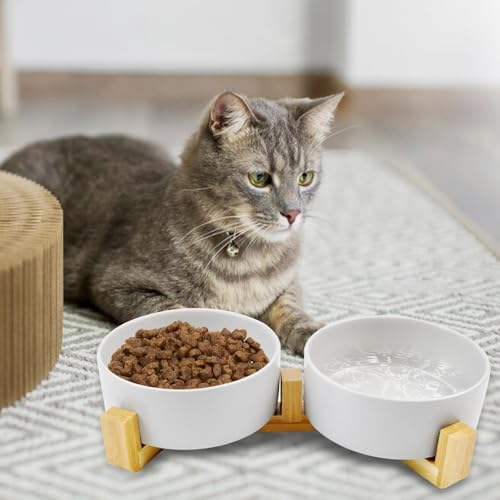 Ceramic Cat Bowls with Bamboo Stand,Non-Slip Small Dog Food and Water Bowl Set Non-Spill Cats Feeder Dish Modern Cute Weighted Cat Dishes for Small Dogs Puppy Cats Kitten(White) - Image 2