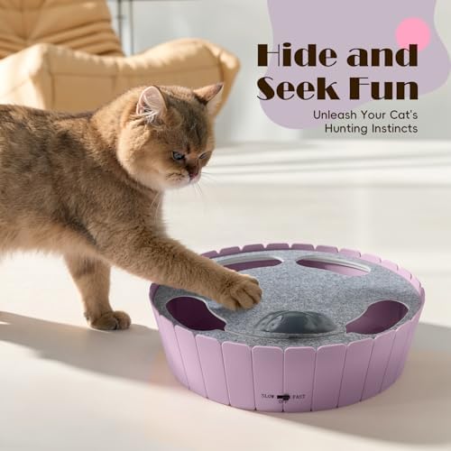 Pawaboo Interactive Cat Toy with Running Mouse, Automatic Track Kitten Toy - Image 2
