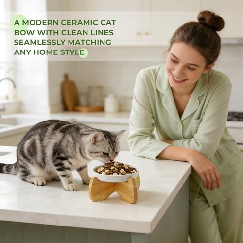 Raised Ceramic Cat Bowl 6.3" Wide Shallow Flat Bottom (1 Pack) - Image 7