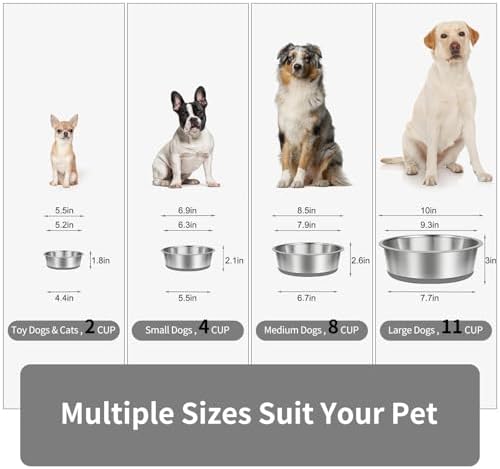Taglory Stainless Steel Dog Bowls Set of 2, Non-Slip Base, 2 Cup, 17oz - Image 2