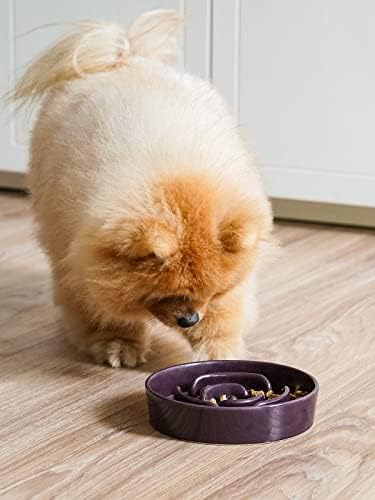 LE TAUCI Ceramic Slow Feeder Dog Bowls Small Breed, 0.6 Cups Dog Food Dish for Fast Eaters, Puzzle Bowl for Small Dogs and Cats,Purple - Image 2