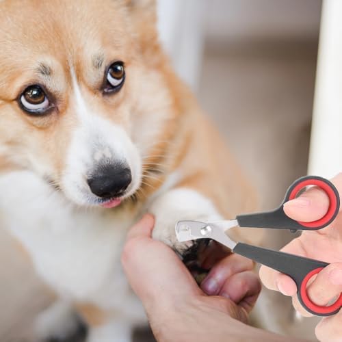 Tiiyee Cat Nail Clipper, Pet Nail Trimmers Bird Claw Scissors Stainless Steel Parrot Cage Essential Grooming Tool for Small Animals Ferrets Bunny Kitten Hamsters Rabbit Puppy Precision Sharp Cut - Image 6