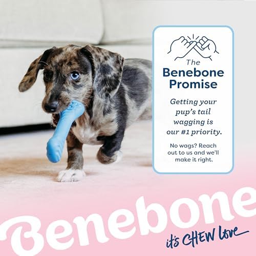 Benebone Puppy 2-Pack Rubber Bone/Wishbone Bacon Tiny - Image 6