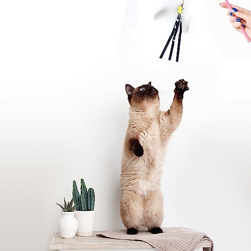 Cat Insect Feather Toys Replacement Cat Toy Wand Refills, 6 Pieces Natural Insect Cat Toy Feathers Refill, Interactive Cat Teaser Wand Attachments, with Bell - Image 6