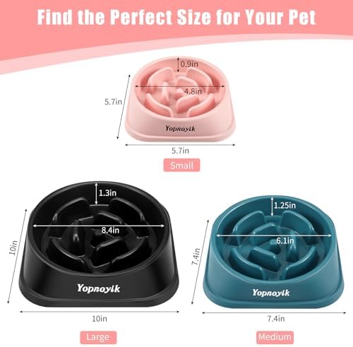 Slow Feeder Dog Bowls for Medium Dogs & Cats - Image 2