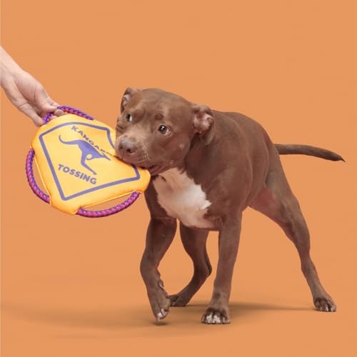 BarkBox Kangaroo Tossing Flying Disc Dog Toy - for Dogs - Image 2