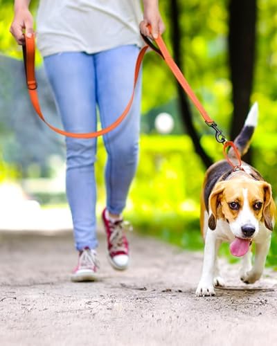 FunTags Martingale Dog Collar and Leash Set for Small Dogs, Locking Buckle - Image 2