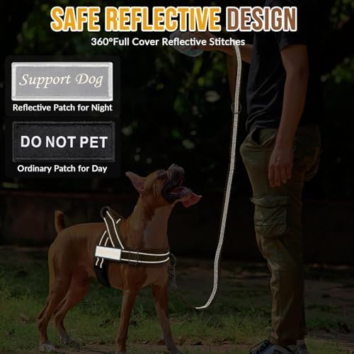 SlowTon No Pull Dog Harness and Leash Set - Heavy Duty, Soft Padded - Image 7