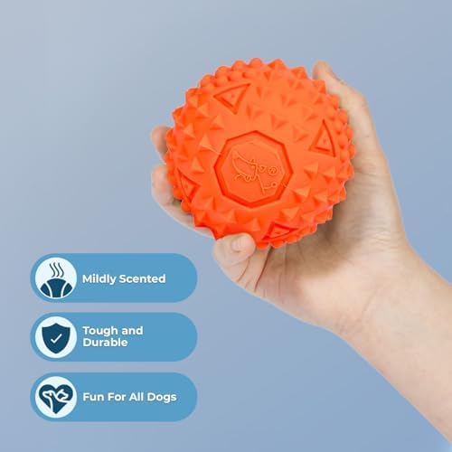 Best Pet Supplies Interactive Squeaky Dog Chew Toy, Ideal Dog Toys for Chewers, Small, Medium & Large Dogs, and Fetch Lovers - Spiky Ball (Blue, Orange), Large 3.5" - Image 2
