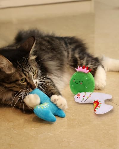 CiyvoLyeen Plush Cactus Llama Catnip Toys for Indoor Cats 5 Pack - Image 2