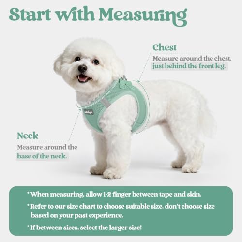 rabbitgoo Dog Harness Medium Sized and Leash Set, Step-in Puppy Pet Vest - Image 2