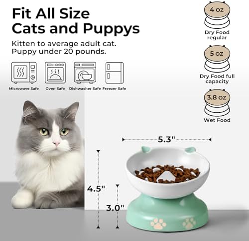 Y YHY Slow Feeder Cat Bowl, Ceramic Elevated Cat Bowl Tilted Design Slow Feeder for Dog and Cat for Dry and Wet Food, Green - Image 2