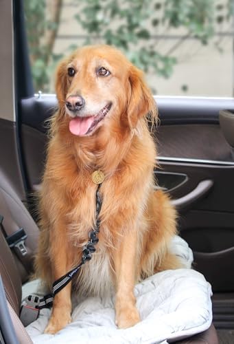 2 Pack Dog Seat Belt Adjustable Dog Car Seatbelts for Vehicle Nylon Pet Safety Seat Belt with Elastic Bungee Buffer Reflective & Durable Car Harness for Dogs (Black + Purple) - Image 6