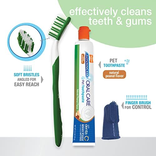 Nylabone Advanced Oral Care Natural Dog Dental Kit Peanut Flavor 2.5 oz. - Image 2