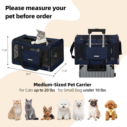 Cat Carrier Soft-Sided Travel Bag for Medium to Large Cat Over 15lbs - Image 2
