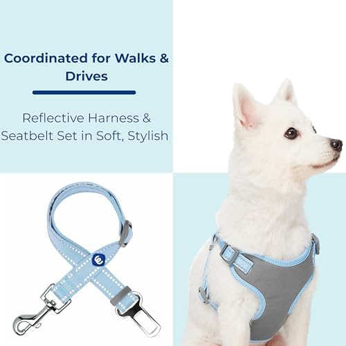 Blueberry Pet Pastel Colored Reflective Dog Harness with Seatbelt Clip – Adjustable No-Pull Pet Vest for Walking and Car Safety, Large Size in Baby Blue - Image 6