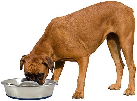 OurPet's DuraPet Slow Feed Stainless Steel Dog Bowl, Silver, Large - Image 2