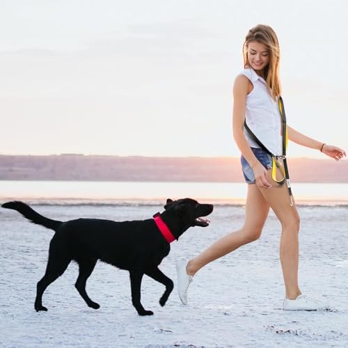 Dog Poop Bag Holder with Dispenser & Storage Pouch - Includes Adjustable Reflective Dog Leash (6FT Bungee, Padded Handles) - Durable Leash for Walking, Training & Travel (Aqua) - Image 7