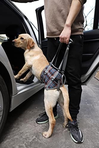 ROZKITCH Dog Lift Harness, Grid Pet Rear Support Aid Veterinarian Approved Sling for Old K9 Help with Poor Stability, Back Leg Hip Disabled Joint Injury Elderly Arthritis ACL Rehabilitation Rehab L - Image 7