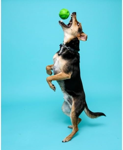 Dura Play Small Ball Dog Toy, Latex, 1ct, Interactive Fun, Safe & Non-Toxic, Outdoor & Indoor Play, Flexible, Yet Durable, Small, 3 Pack - Image 7