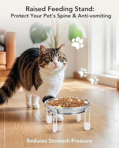 Elevated cat Bowl 4PC, 6.3" Wide Raised Cat Bowl - Image 2