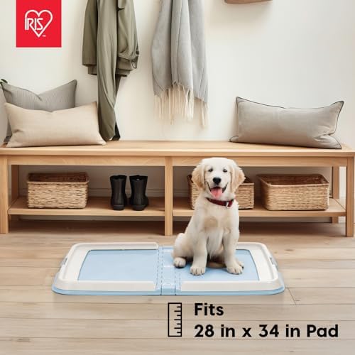 IRIS USA Pee Pad Holder, Fits 28x34 Pads, Blue - Image 2