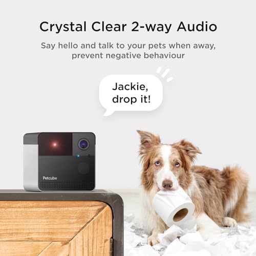 Petcube Play 2 - Wi-Fi Pet Camera with Laser Toy for Cats & Dogs - Image 6