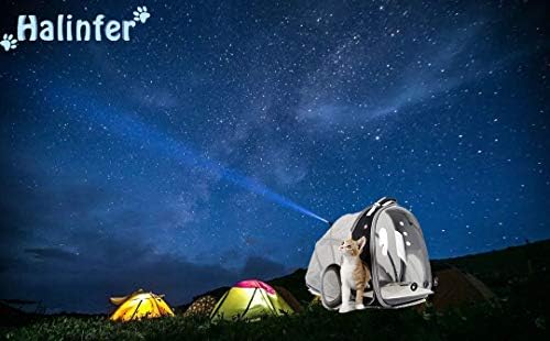 Cat Bubble Backpack with Fan, Fit up to 12 lbs, Space Capsule Astronaut Clear Window Pet Travel Carrier Backpack for Cat and Small Puppy - Image 6