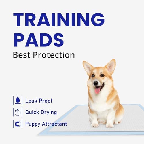 Disposable Puppy Pads, XL Pee Pads for Dogs Training (28*30, Count, 20) - Image 2