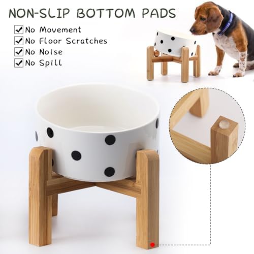 Petygooing Raised/Elevated 15°Slanted Ceramic Dog Bowl for Small Breeds,Tilted Anti Slip Pet Bowl,Food Water Dish with Stand for Cats and Small Dogs Puppy 13.5 OZ (5.1In / 1.7 Cups) Black Dot - Image 2