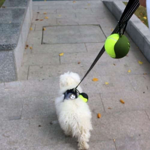 Dog Toy Ball Holder - Leash Attachment, Hands-Free, Pet Toys, Silicone, Lightweight, for All Breeds and Sizes, Fits Standard Tennis Balls - Tennis Ball NOT Included (Beige) - Image 6