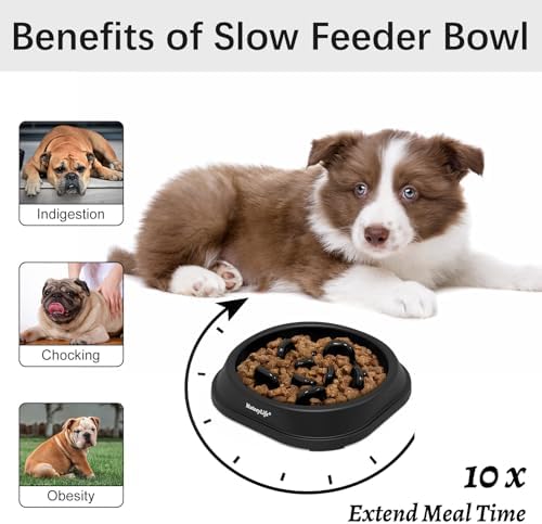 MateeyLife 1-Pack Slow Feeder Dog Bowls, 1 Cup, Dog Puzzle Feeder Bowl - Image 2