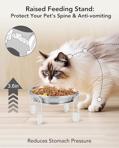 Elevated cat Bowl 2PC, 6.3" Wide Raised Cat Bowl - Image 2