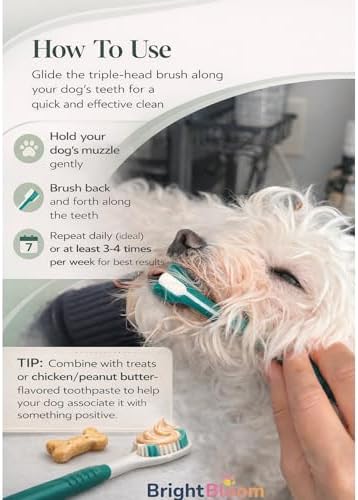 Triple Head Dog Toothbrush- 3- Sided Pet Toothbrush for Faster Cleaning, Helps Reduce Plaque & Bad Breath, Easy to Use Dog Dental Care Tool for Medium &Large Dogs. (Green) - Image 2