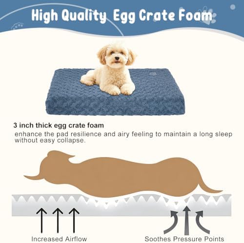 EMPSIGN Dog Bed Mat Crate Pad Mattress, Ultra Soft Pet Kennel, Navy, Small - Image 2