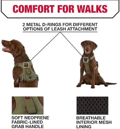 KONG Ultra Durable Waste Bag Harness (Medium, Green) - Image 4