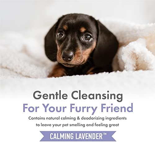 Petkin Hemp Shampoo & Conditioner for Dogs and Cats – with Hemp Oil & Calming Lavender Extract, 16 fl oz – Soothes, Calms & Conditions, Keeps Pet Smelling Great – for Home and Travel - Image 7