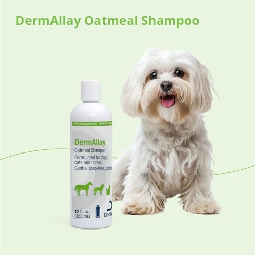DermAllay Oatmeal Shampoo for Dogs, Cats and Horses, 12 Fl Oz - Image 7