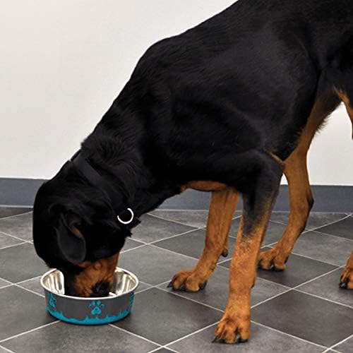 Bergan Maslow Design Series Non-Skid Paw Design Bowl, Blue 54 oz/6.75 Cup