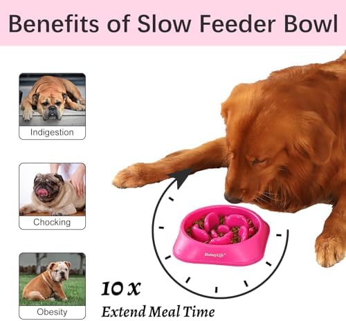 MateeyLife 1-Pack Slow Feeder Dog Bowls, 2 Cups, Dog Puzzle Feeder Bowl - Image 2