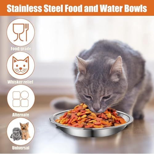6 Pcs Stainless Steel Cat Bowls Shallow Wide Food Bowls for Cats Replacement Whisker Fatigue Relief for Small Dogs and Cats Indoors (Silver) - Image 7