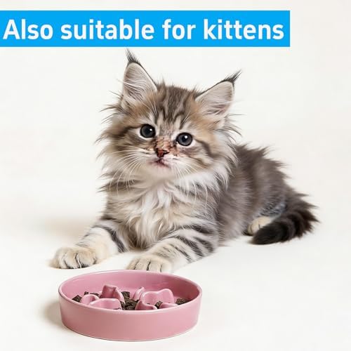 Pet Feeding Bowls, Ceramic Slow Feeder Dog Bowl - Heavy Weighted Blue Bloom Food Dish for Small to Medium Dogs - Non-Slip, Microwave & Dishwasher Safe Pottery Maze to Fast Eating (Pink) - Image 7
