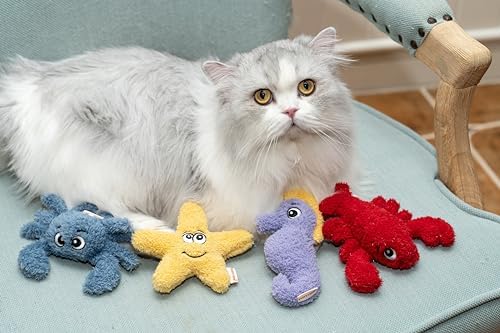 Interactive Catnip Cat Plush Toy, Ocean Theme, 5'', for All Breed Size Cats (Lobster) - Image 5