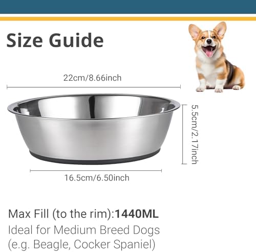PEGGY11 Lightweight Stainless Steel Cat Dog Bowls, 6 US Cup Each, 2-Pack - Image 2