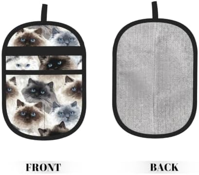 Cute Ragdoll Cat Faces Persian Kitten Pet Hair Removal Glove For Cats Dogs - Image 2