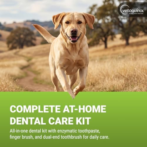 Vetoquinol Enzadent Enzymatic Toothpaste Kit + Fingerbrush & Dual-End Toothbrush for Cats & Dogs – 3.2 oz, Poultry Flavor – Oral Dental Care Kit: Removes Plaque, Polishes Teeth & Freshens Breath - Image 2